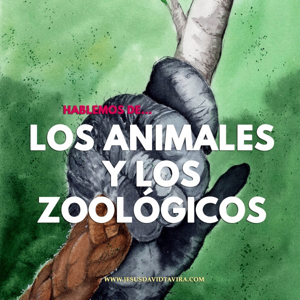 Los animales y los zoológicos